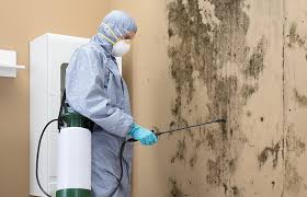 Best Mold Remediation for Healthcare Facilities in La Vernia, TX